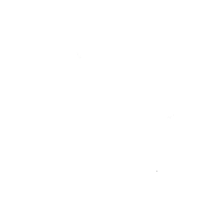 FC Köln